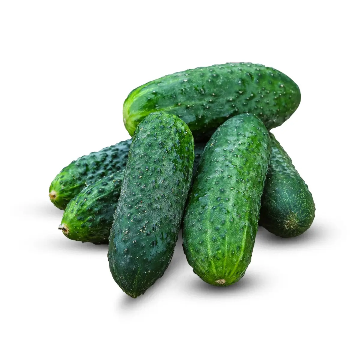 Tranguj Kornishon kg/ (PLU: 655)