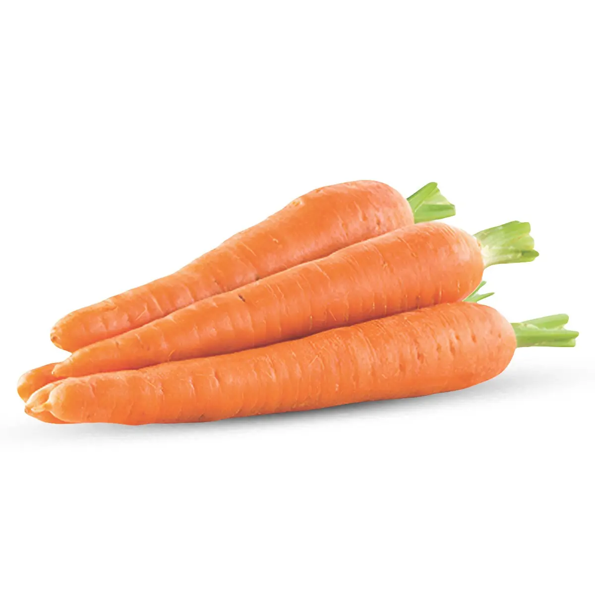 Karrote kg/ (PLU: 966)