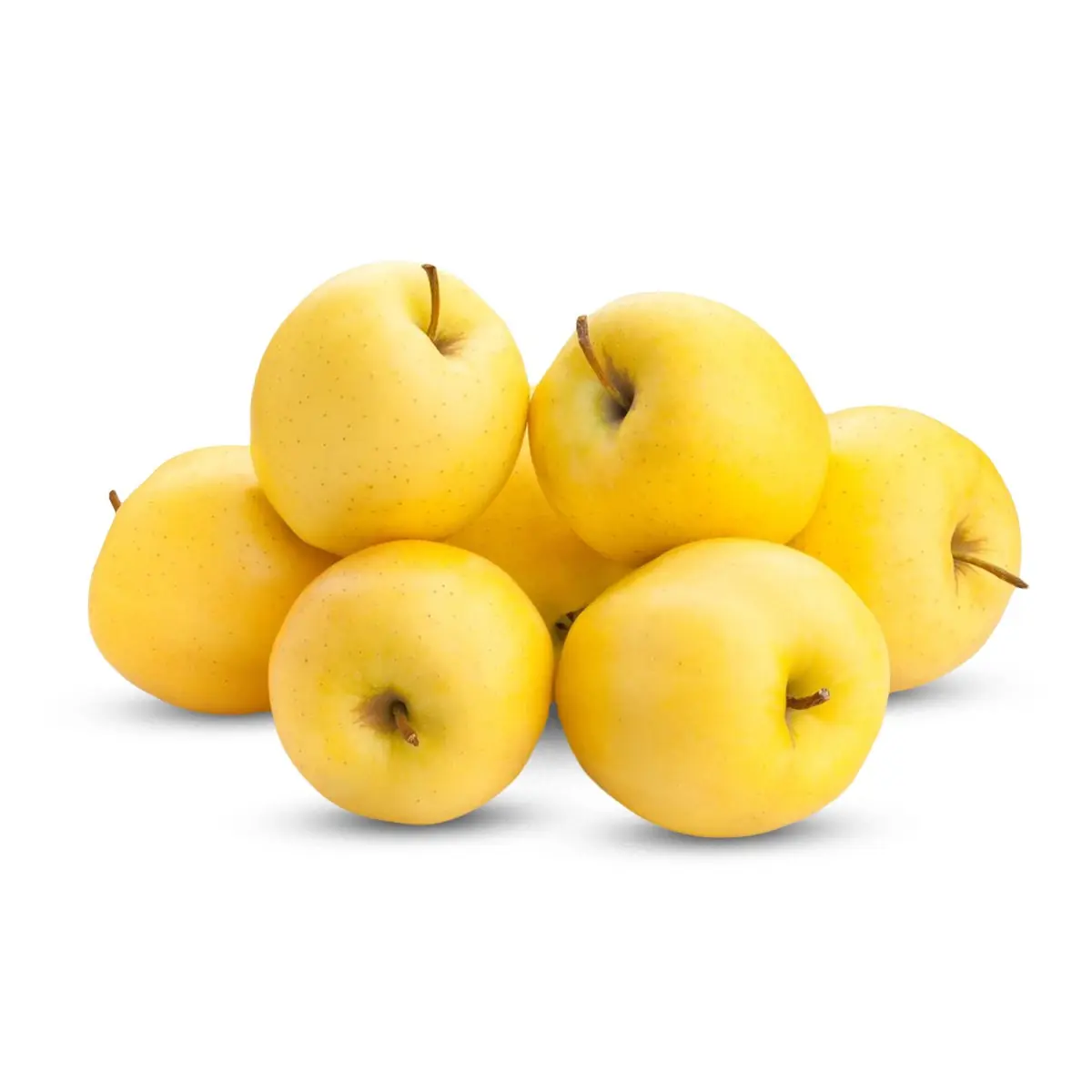 Molle Delishes I Arte Kl”I” 2064