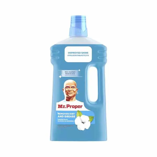 Det per dysheme ocean Mr proper 1l