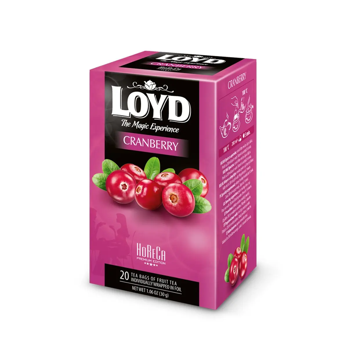 Çaj boronicë Premium Loyd 40gr