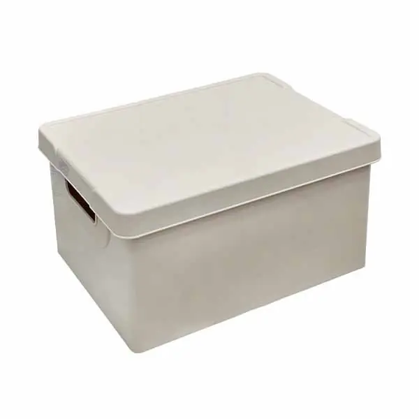 Kuti per lodra- 2601834