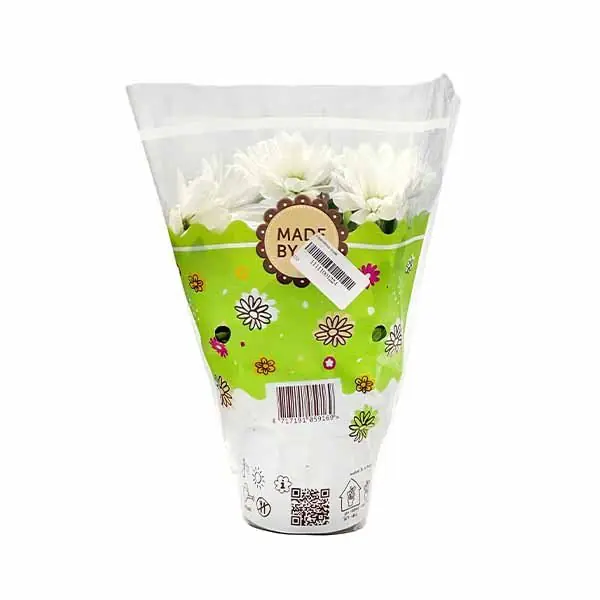 Lule krizantema maxi