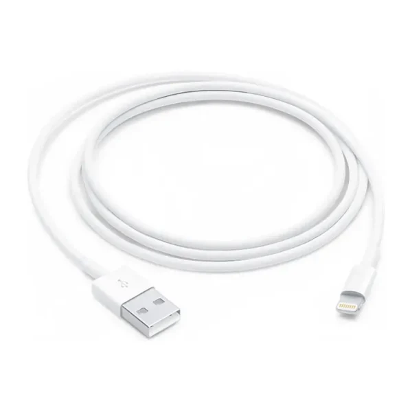 Apple Lightning to USB Cable (1m)