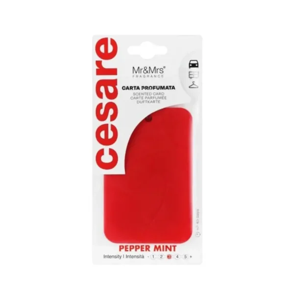 Mr&Mrs Cesare Card Kuqe