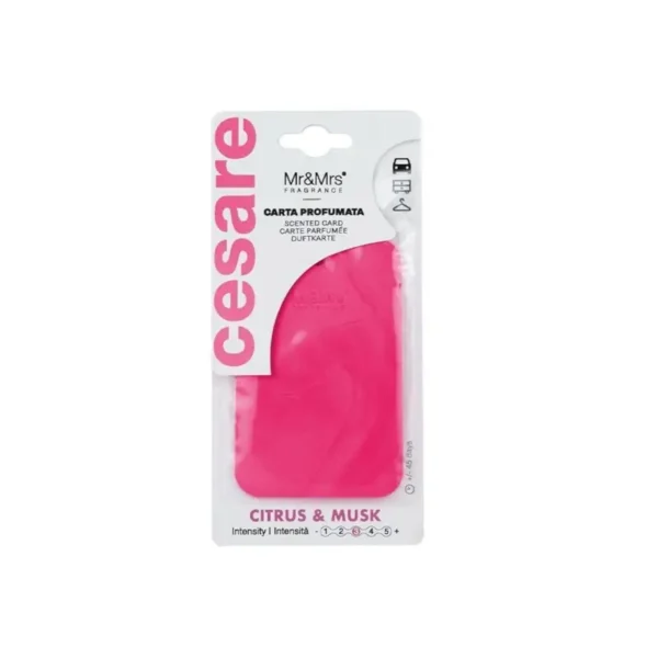 Mr&Mrs Cesare Card Pembe