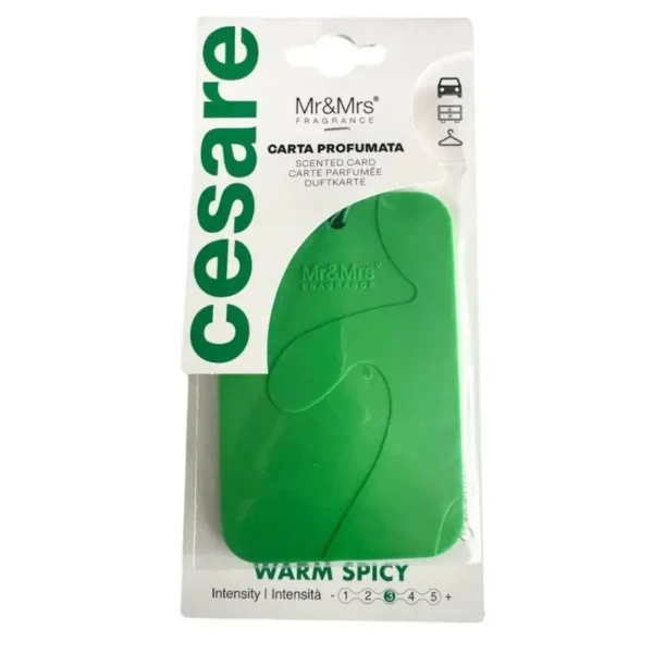 Mr&Mrs Cesare Card Green
