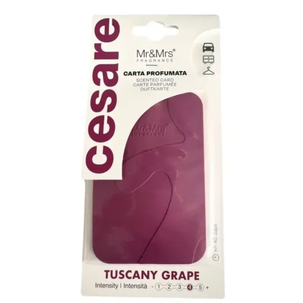 Mr&Mrs Cesare Card Vjollce