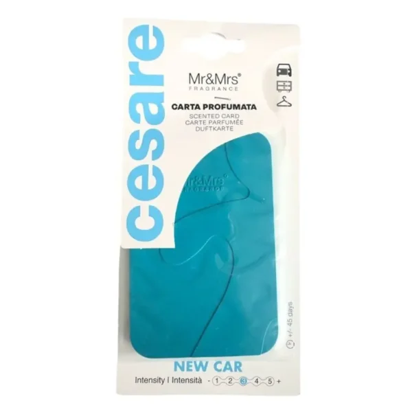 Mr&Mrs Cesare Card New Care
