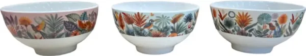 Pjate Porcelani E Re
